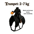 3D Headless Pumpkin Rider Halloween Costume for Small Dogs & Cats