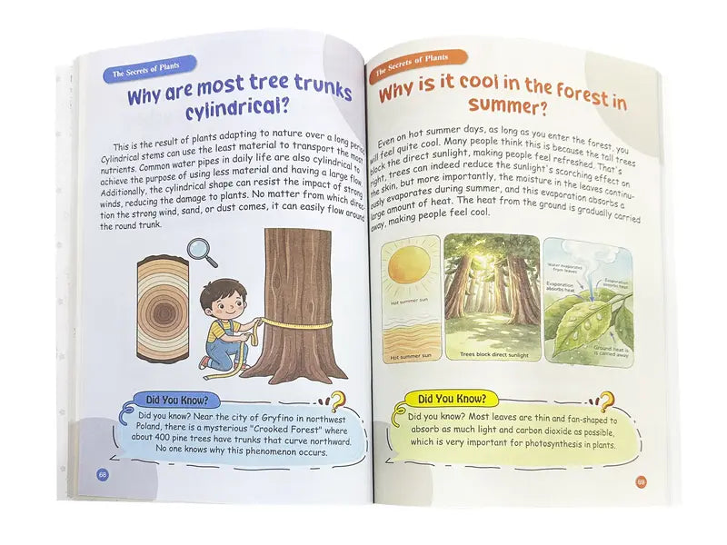 Children's encyclopedia, children's reading books, extracurricular reading gifts