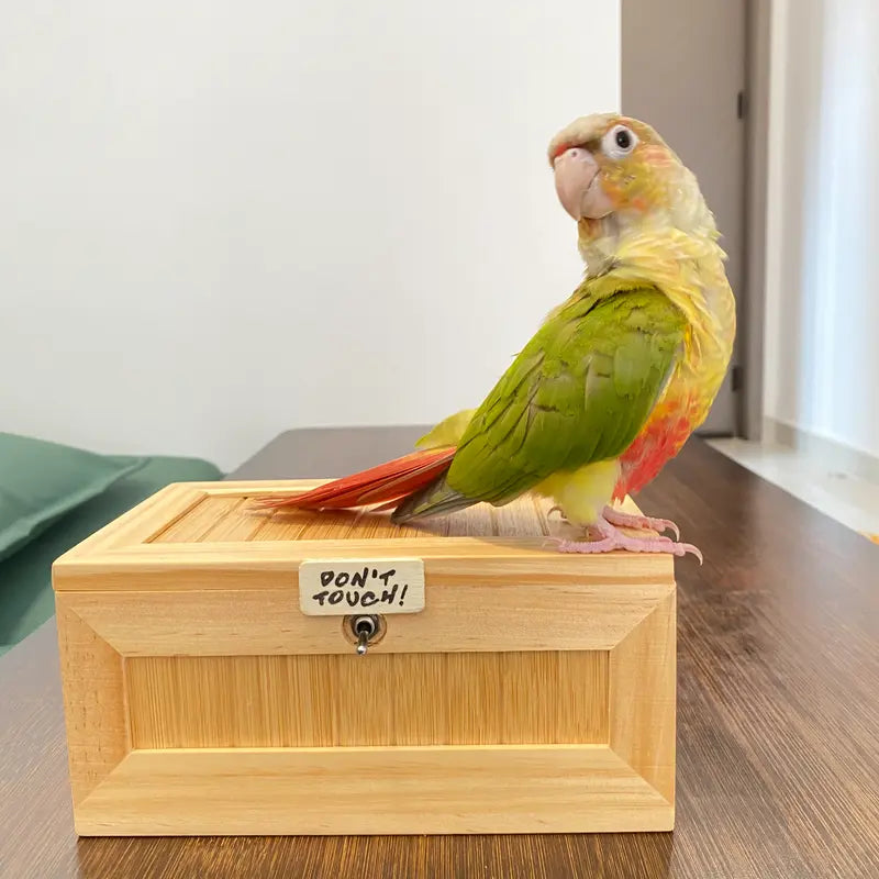 “Don’t Touch” Useless Box Interactive Prank Desk Toy