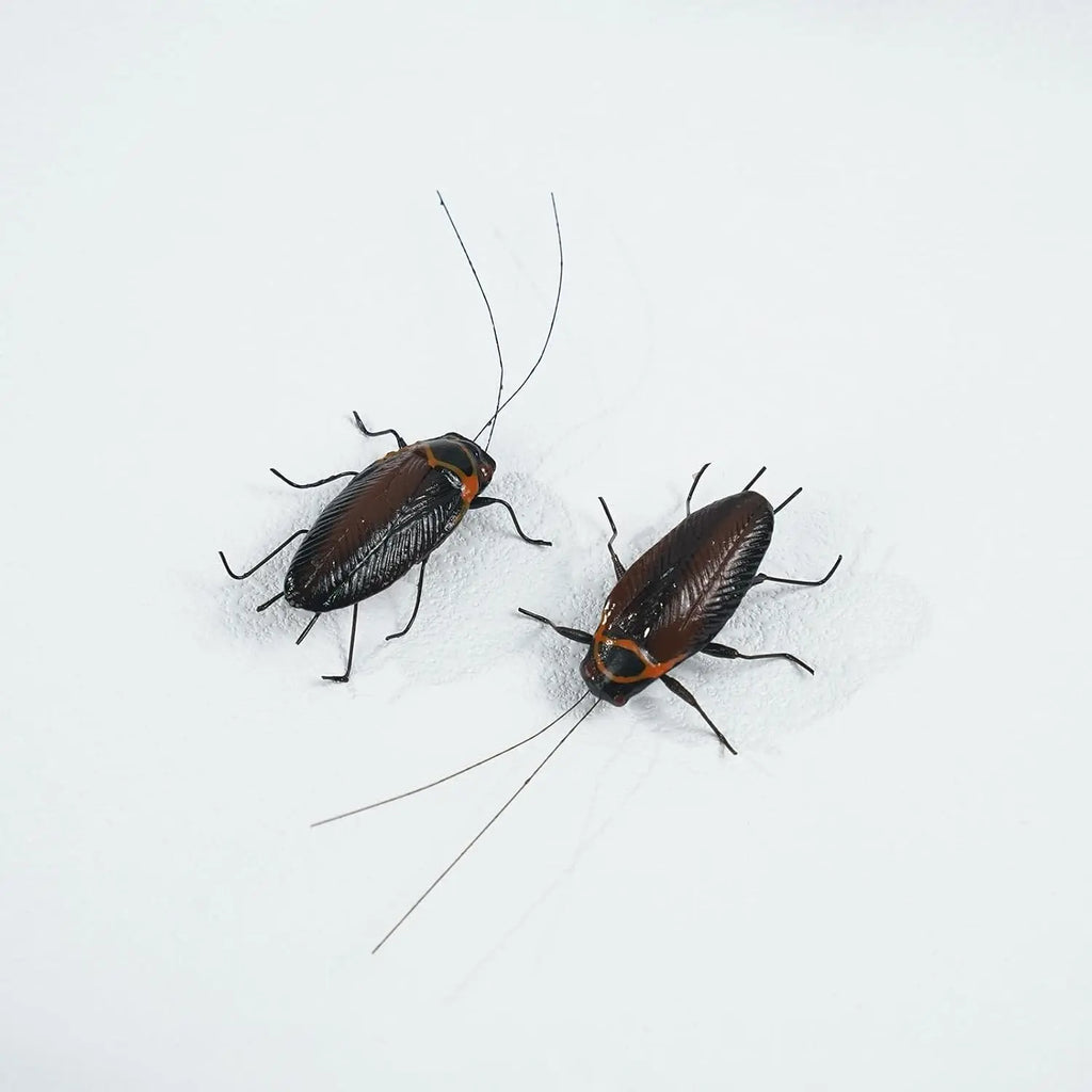 2-Piece Realistic Clay Cockroach Fridge Magnet Prank Set