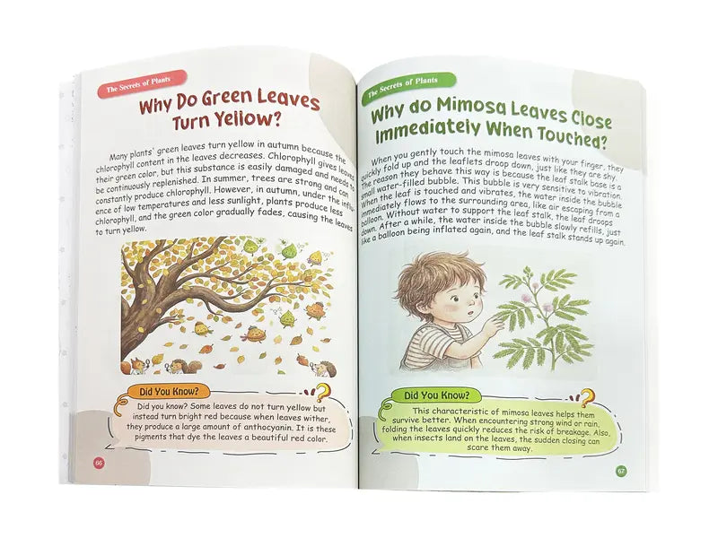 Children's encyclopedia, children's reading books, extracurricular reading gifts
