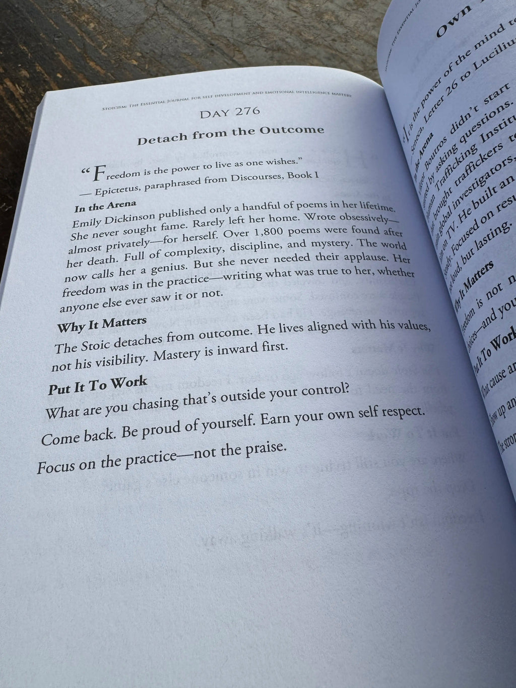 STOICISM: 365 DAILY LESSONS FOR MOTIVATION, MENTAL STRENGTH, AND EMOTIONAL CLARITY BOOK