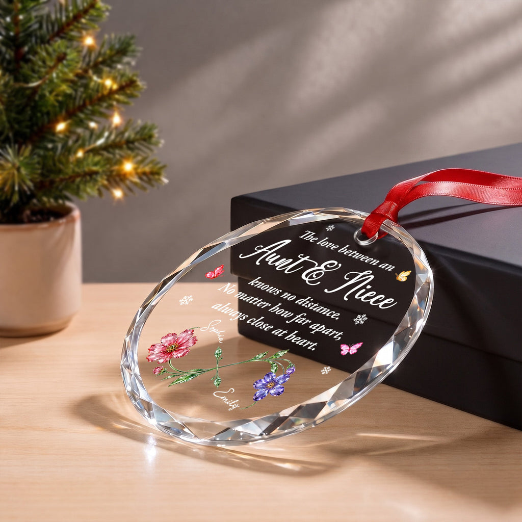 The Love Between An Aunt And Niece, Glass Ornament, Gift For Family - 11