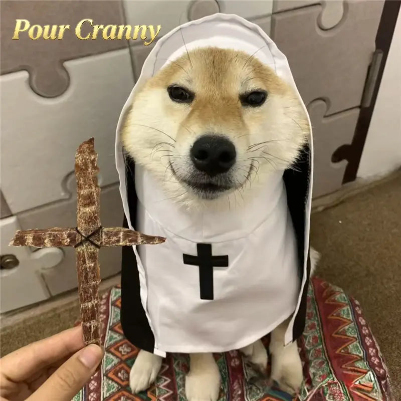 Hooded Nun Costume for Small & Medium Dogs and Cats