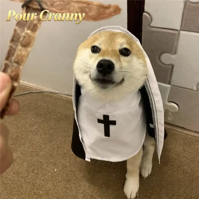 Hooded Nun Costume for Small & Medium Dogs and Cats