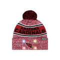 NFL Officially Licensed Team Color Warm Light up Pom Beanie