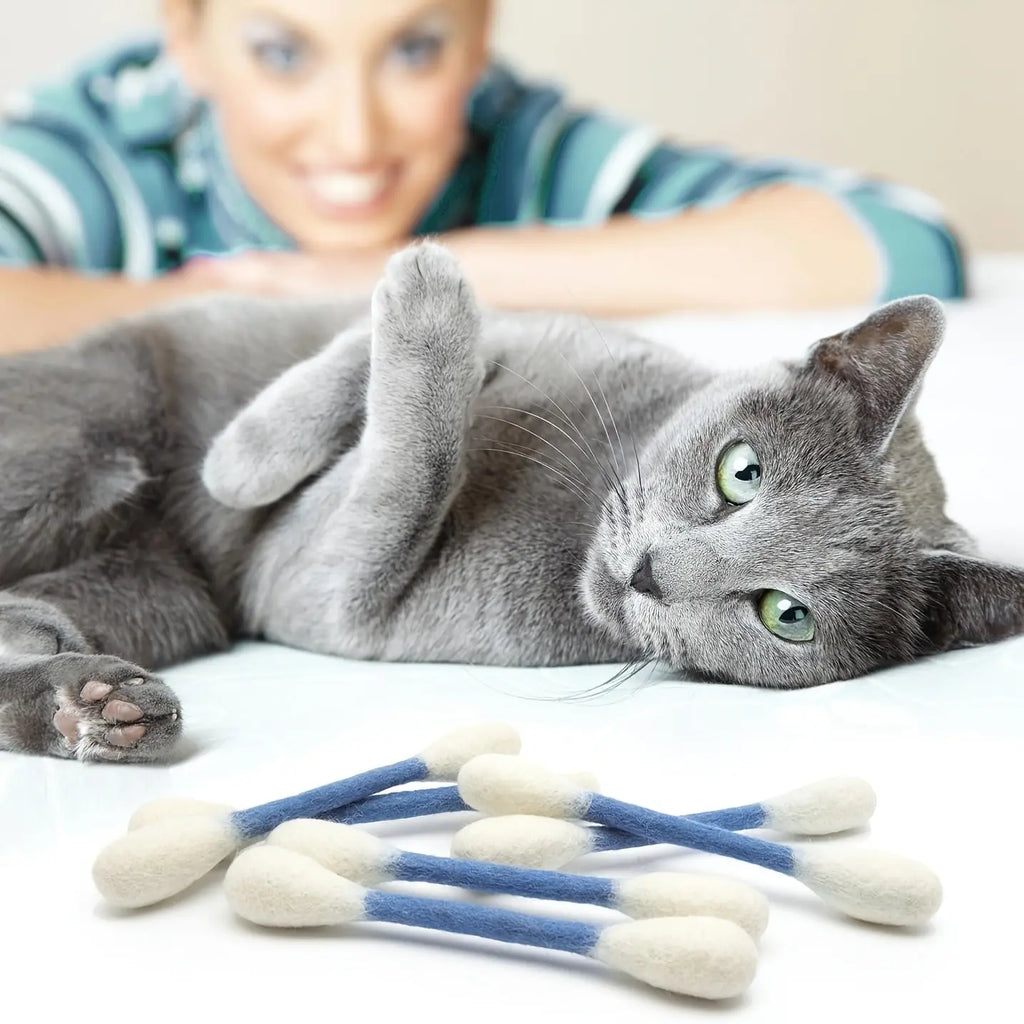 6PCS Extra Large Interactive Cat Toy Wand, Durable Bite-Resistant Pet Playstick for Indoor Cats, Reducing Boredom & Encouraging Play